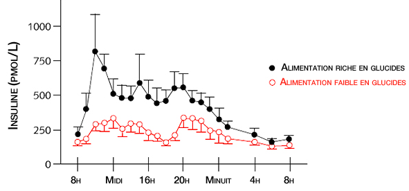 glucides_diabetes