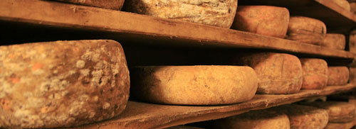 Les fromages crus à pâte dure : pleins de bonnes bactéries